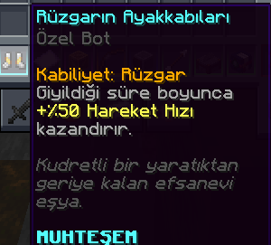 Rüzgarın Ayakkabıları.png