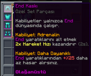 End Kaskı.png