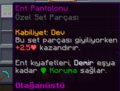 Ent Pantolonu.png