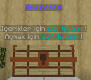 Sky Kasası.png