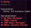 Nefer gereksinimleri.png