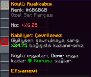 Köylü Ayakkabısı.png