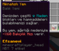 Ekran görüntüsü 2024-08-25 003342.png